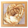 Art Print - "Cream Peony Two" by Andrea Gerstmann (14"x14")